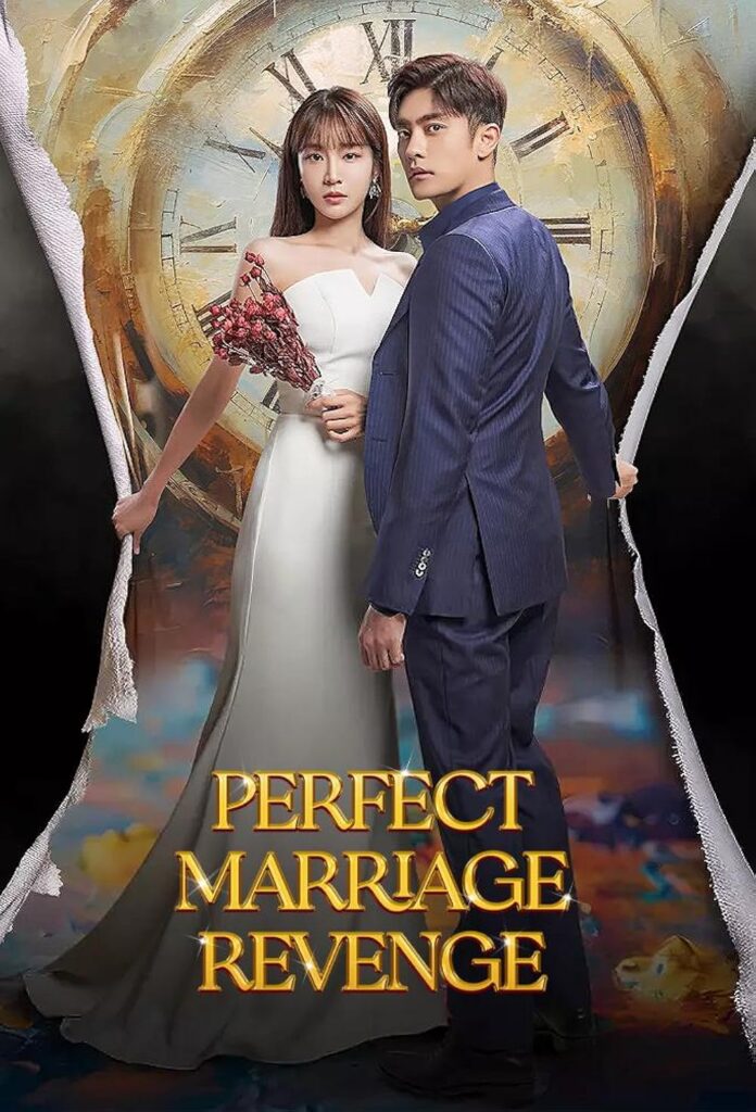 Perfect Marriage Revenge